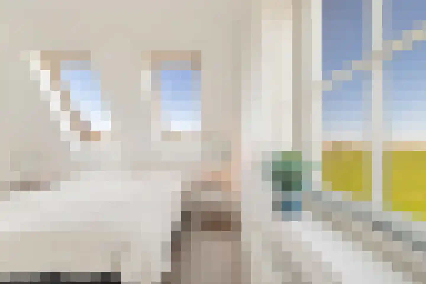 De Eendracht 13 Zuidschermer thumbnail 30