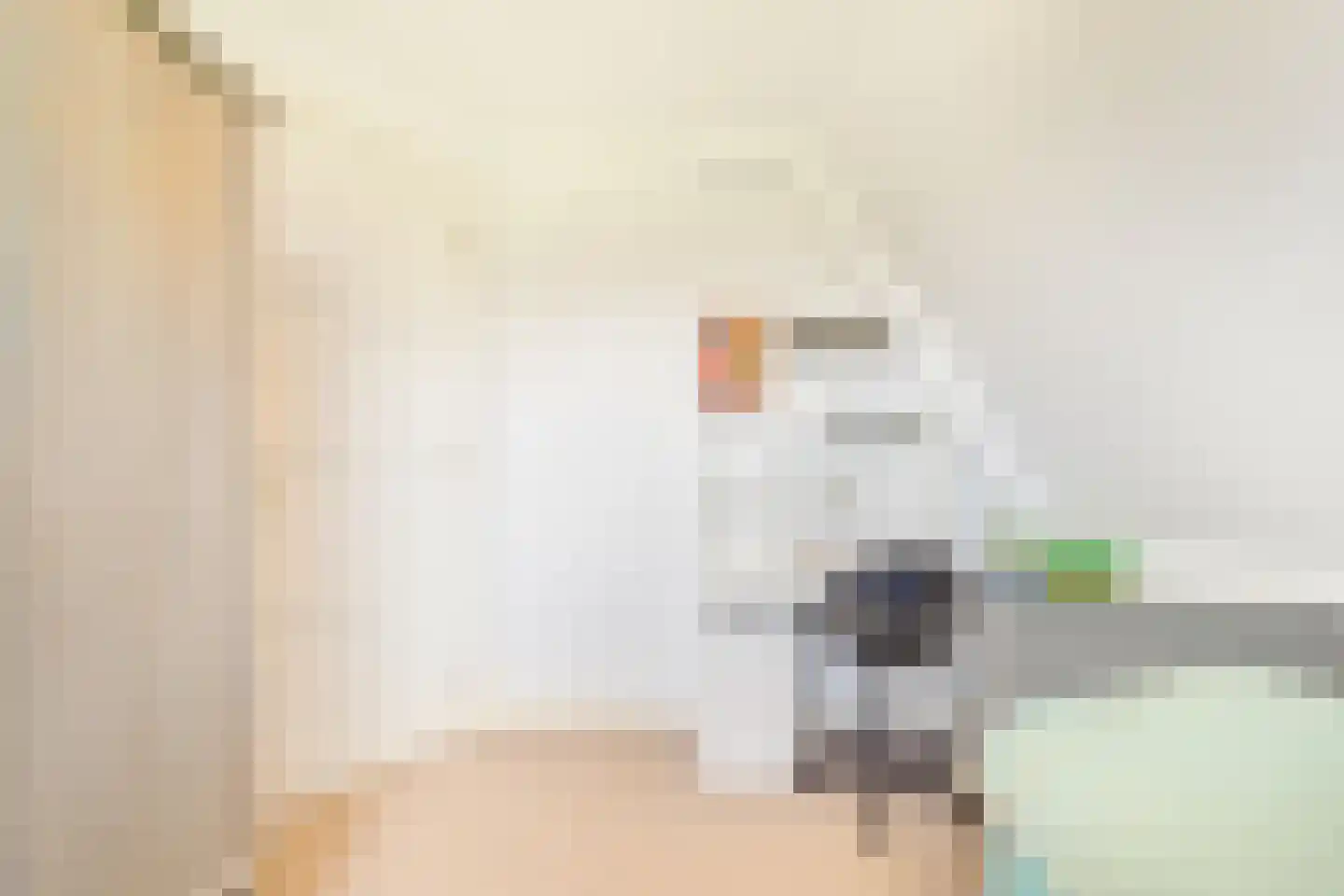 De Eendracht 13 Zuidschermer thumbnail 32
