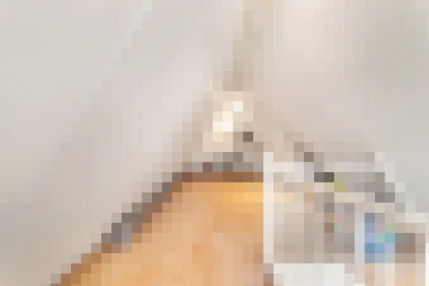 De Eendracht 13 Zuidschermer thumbnail 35