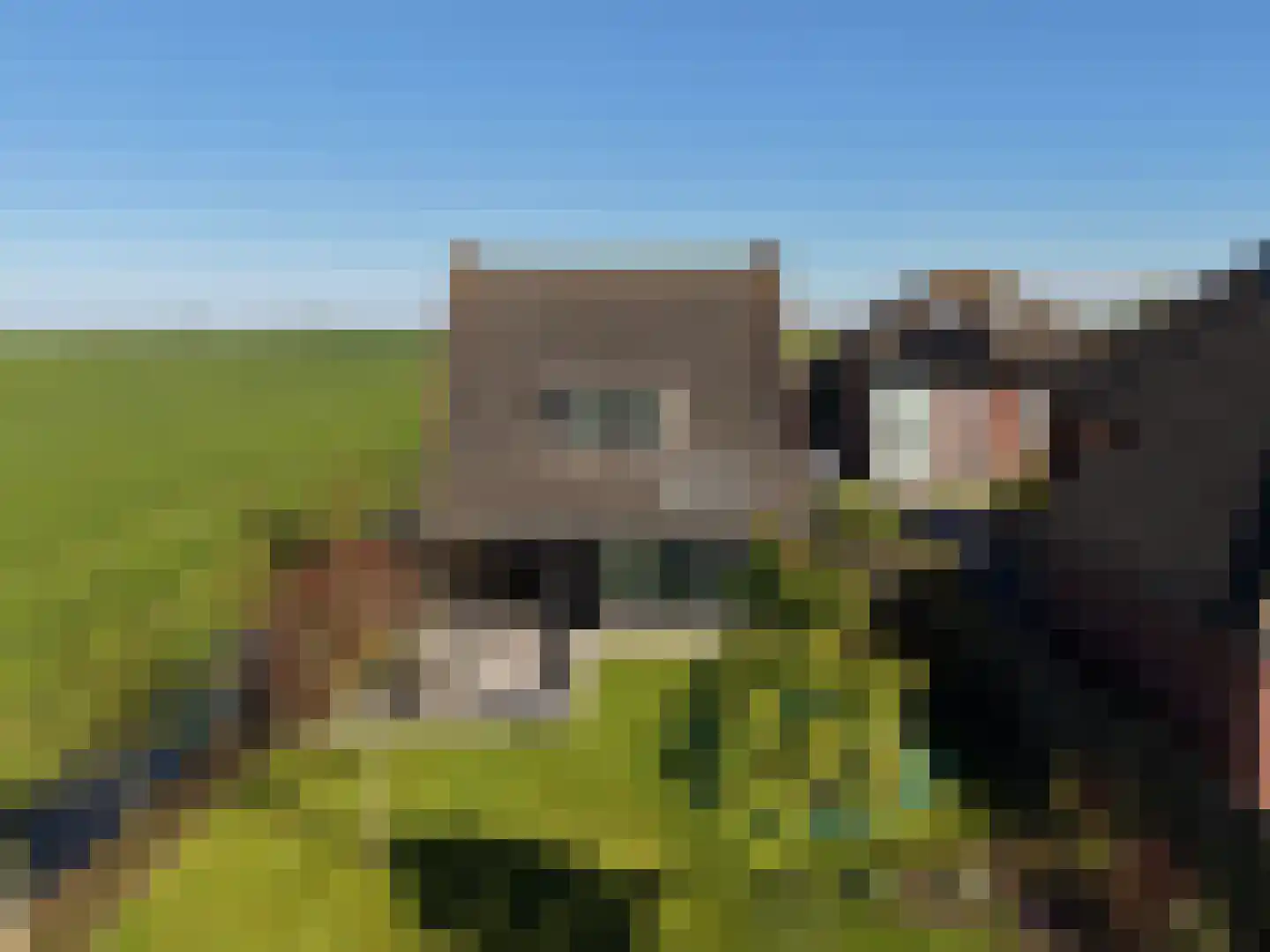 De Eendracht 13 Zuidschermer thumbnail 36