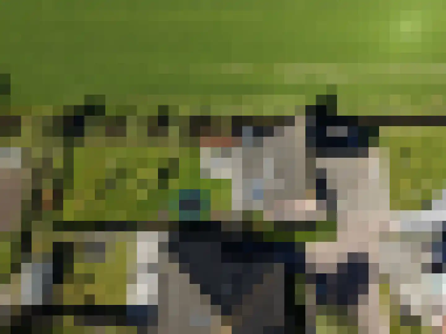 De Eendracht 13 Zuidschermer thumbnail 4