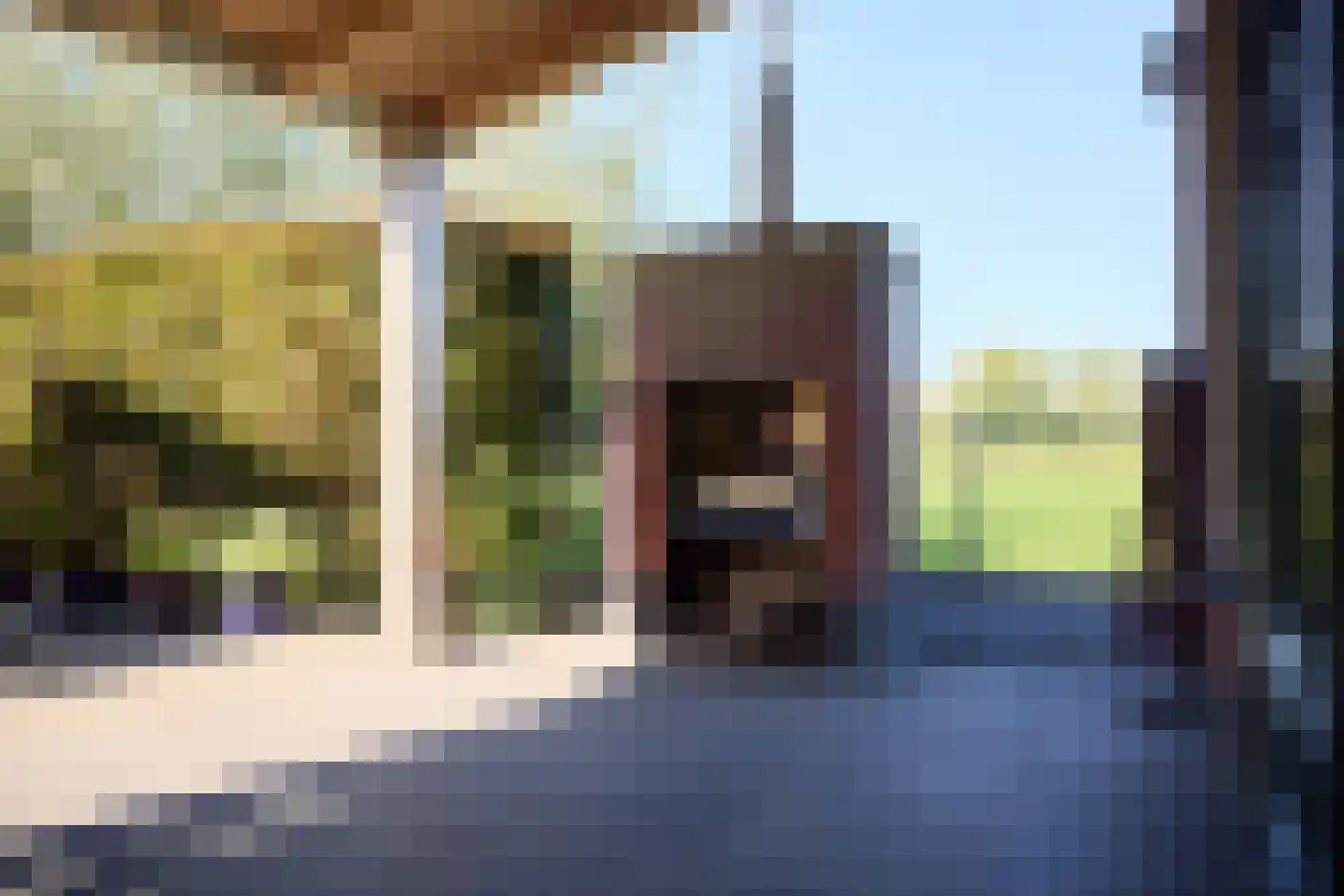 De Eendracht 13 Zuidschermer thumbnail 46