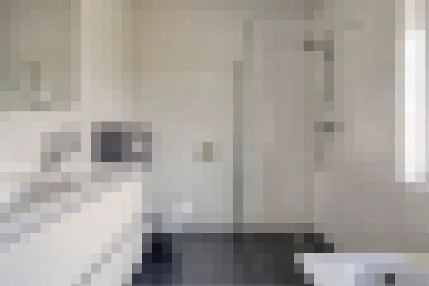De Eendracht 15 Zuidschermer thumbnail 18