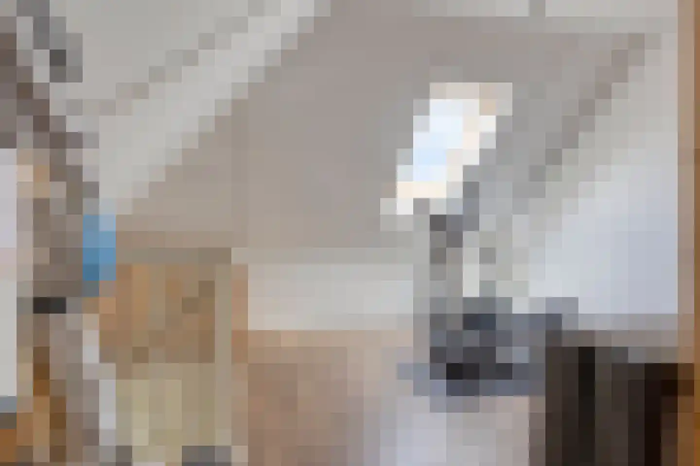 De Eendracht 15 Zuidschermer thumbnail 21
