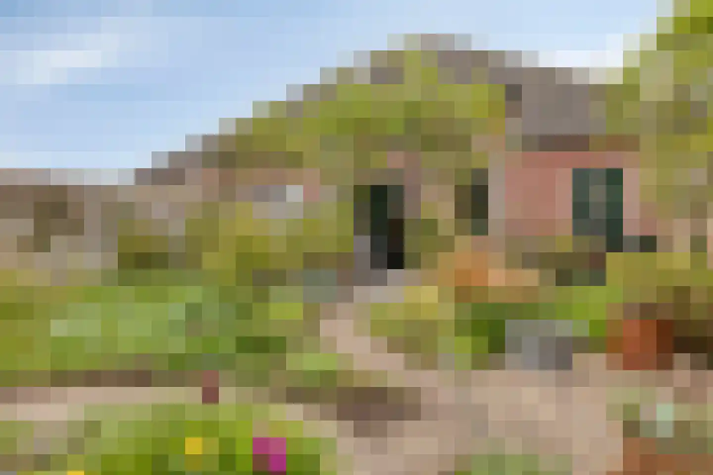 De Eendracht 15 Zuidschermer thumbnail 24
