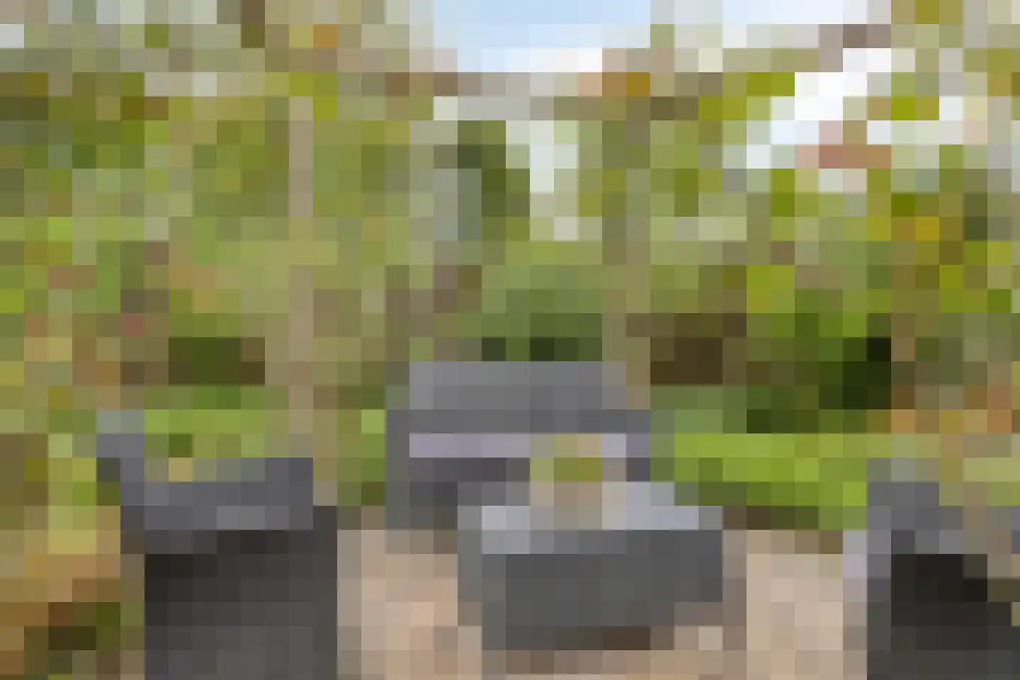 De Eendracht 15 Zuidschermer thumbnail 25