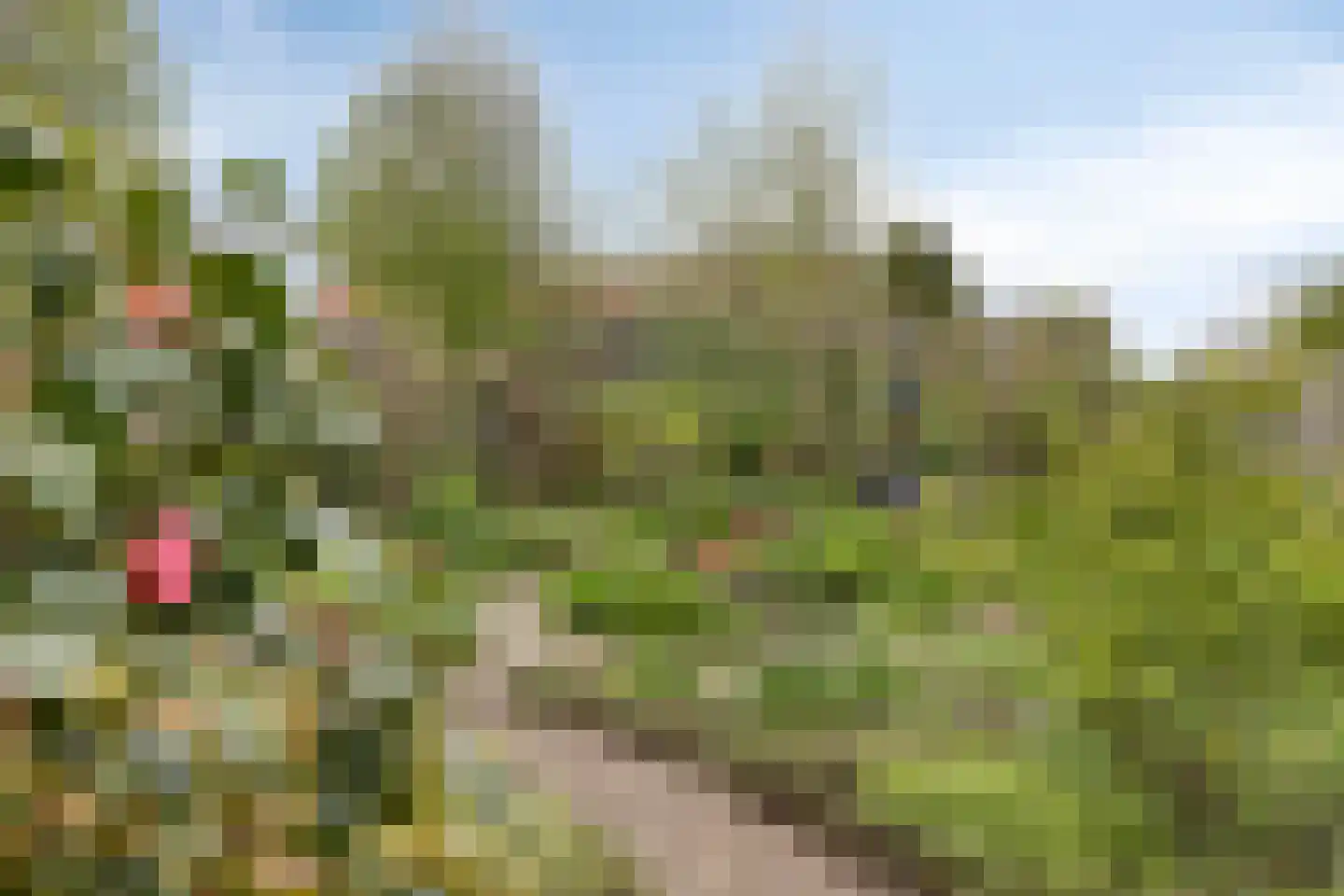 De Eendracht 15 Zuidschermer thumbnail 26