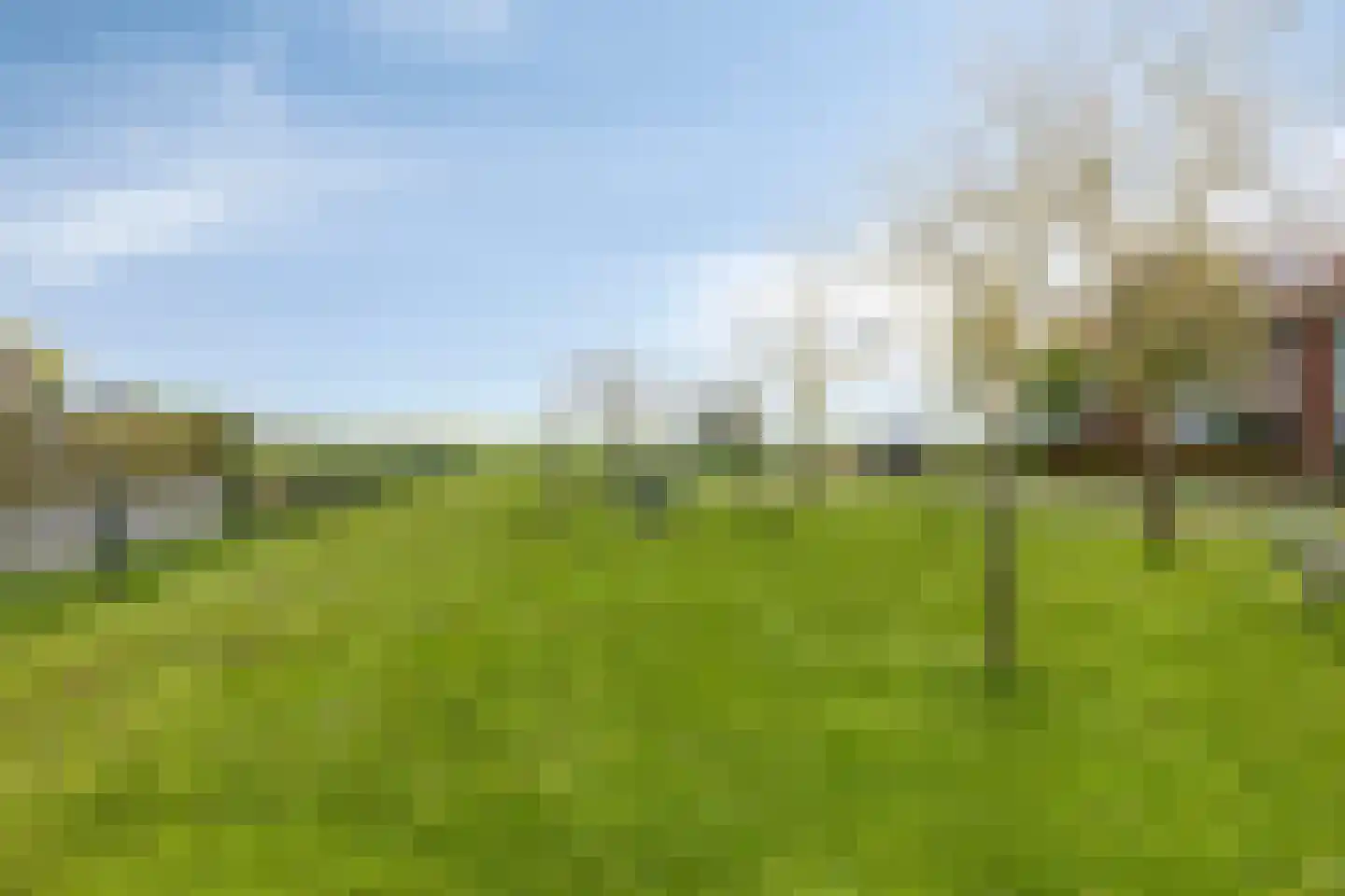 De Eendracht 15 Zuidschermer thumbnail 29