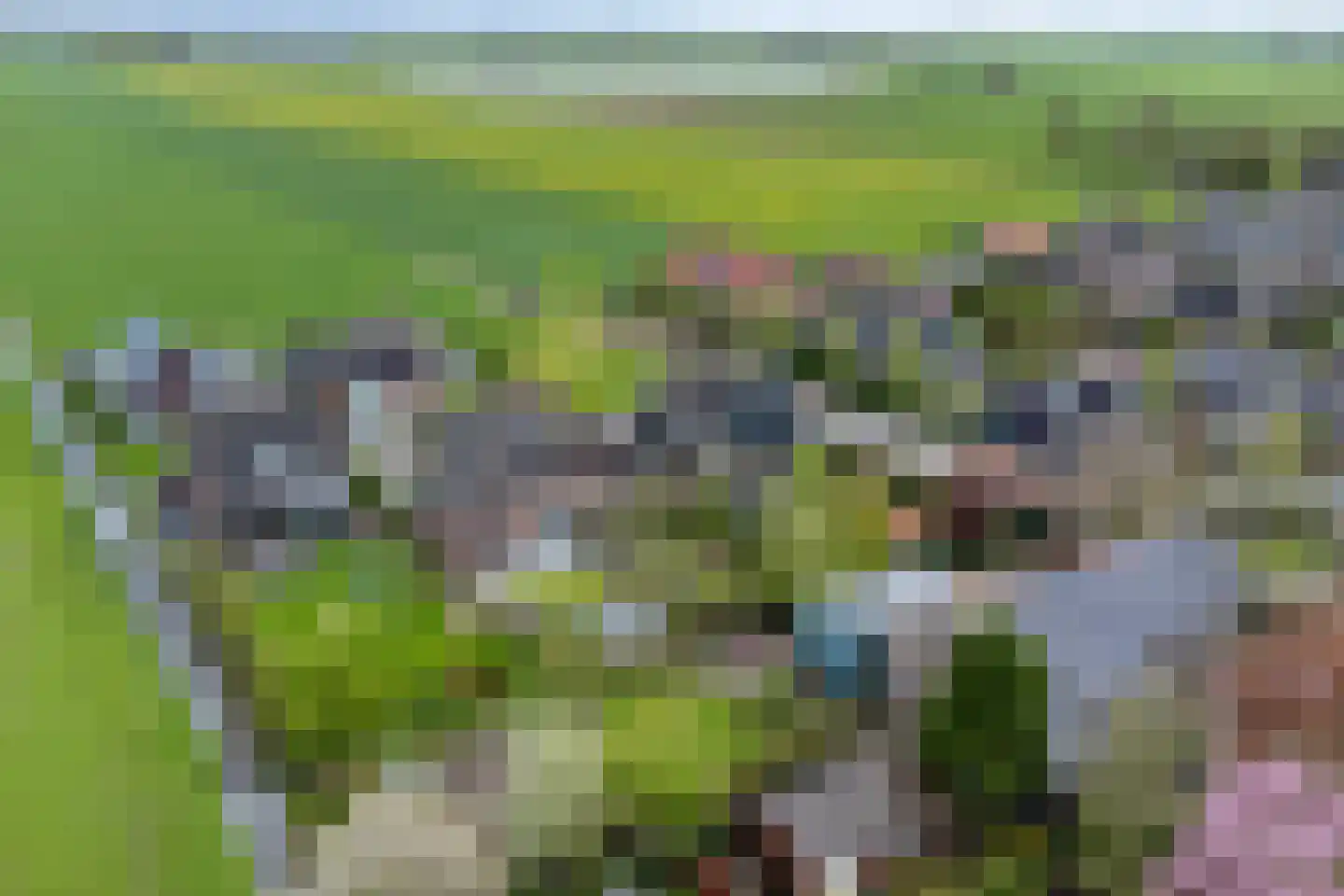 De Eendracht 15 Zuidschermer thumbnail 31
