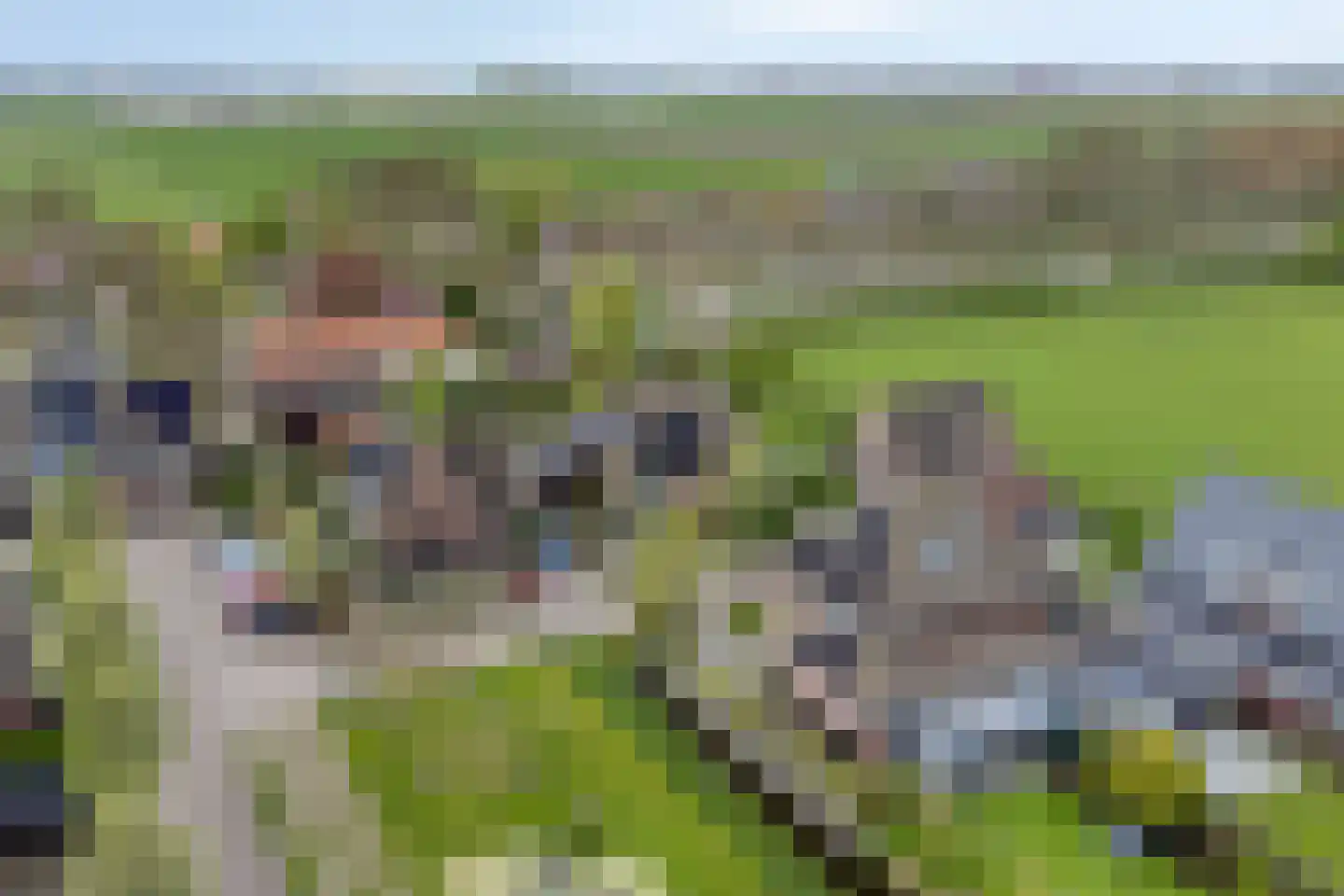 De Eendracht 15 Zuidschermer thumbnail 32