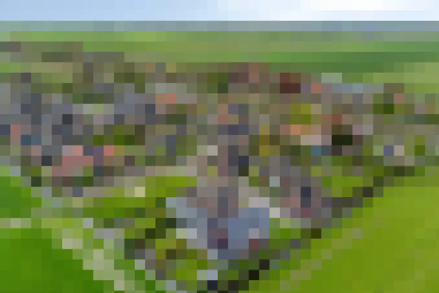 De Eendracht 15 Zuidschermer thumbnail 33