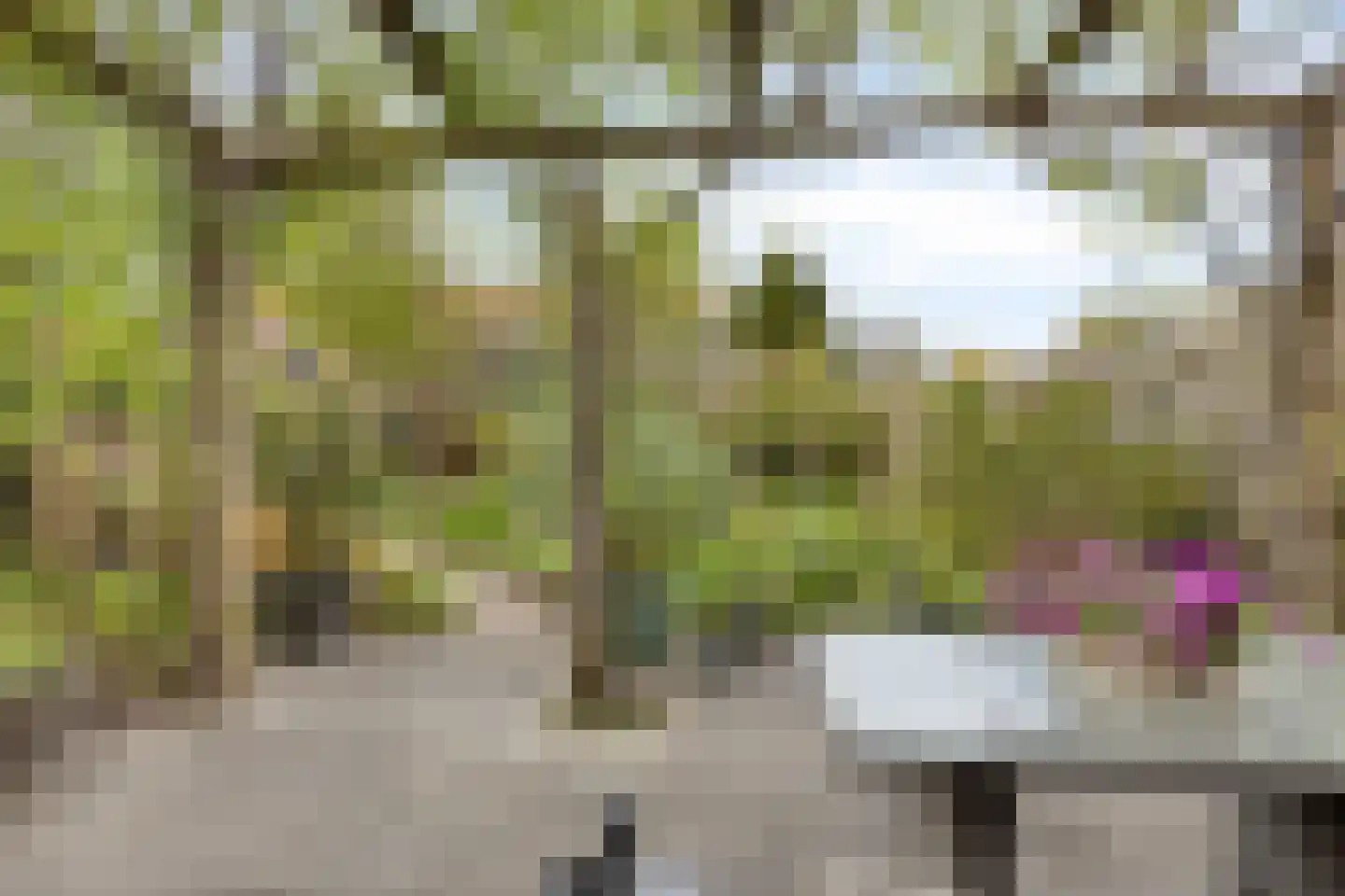 De Eendracht 15 Zuidschermer thumbnail 5