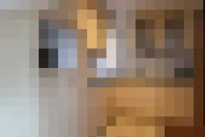 De Eendracht 2 Harlingen thumbnail 20