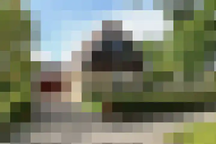 De Eendracht 2 Harlingen thumbnail 4