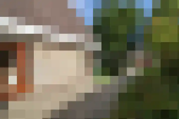 De Eendracht 2 Harlingen thumbnail 5