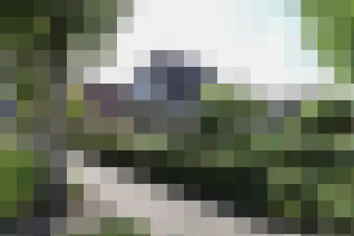 De Eendracht 2 Harlingen thumbnail 52