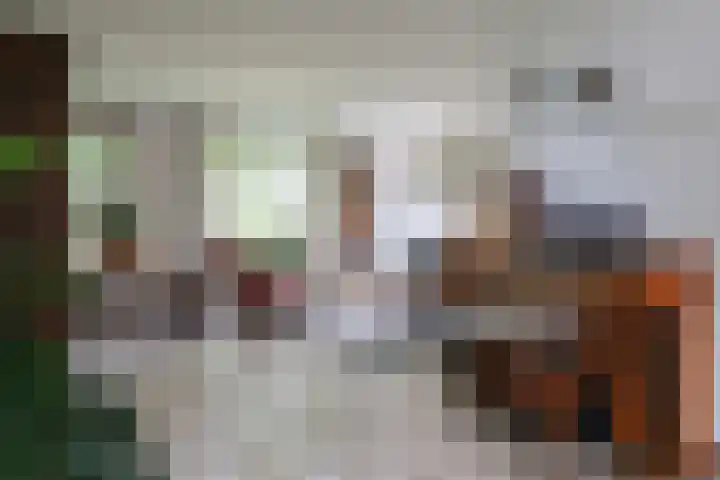 De Eendracht 2 Harlingen thumbnail 9