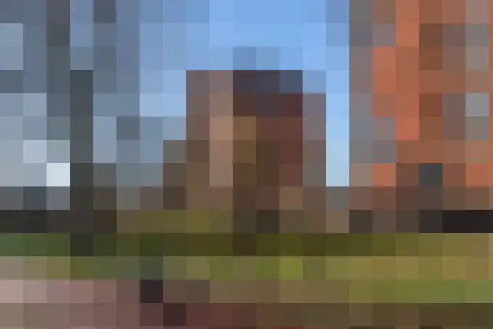 De Eendracht 26 Delft thumbnail 35