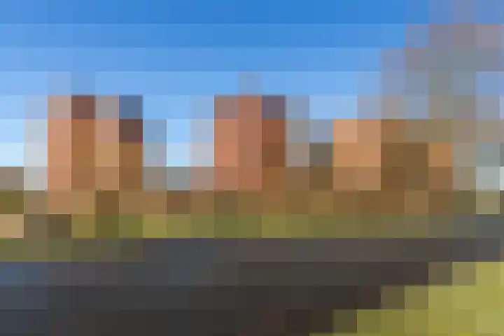 De Eendracht 26 Delft thumbnail 37