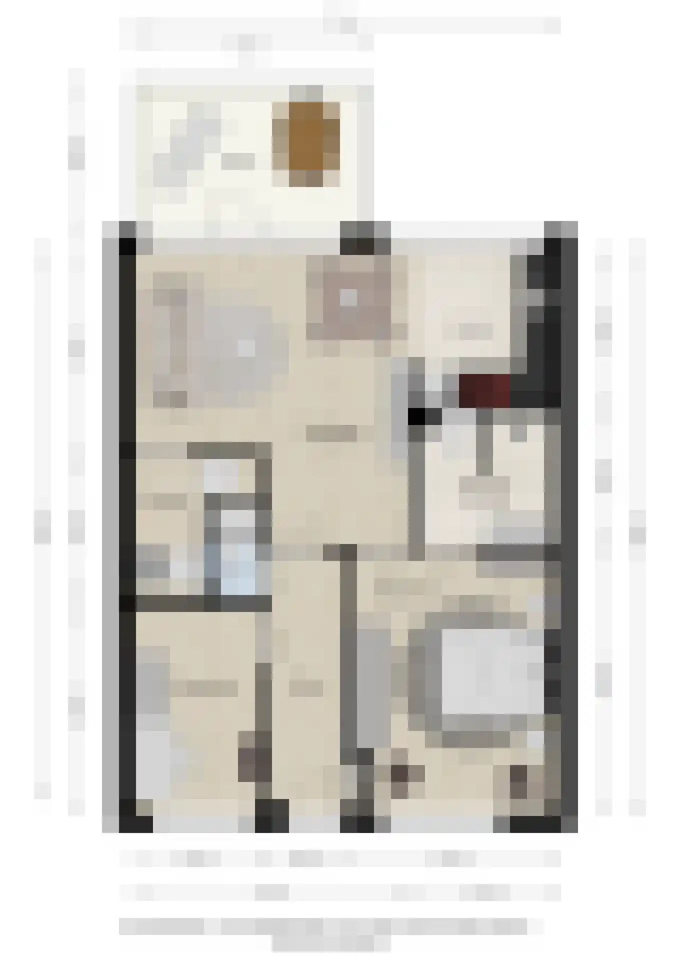 De Eendracht 303 Tubbergen thumbnail 22