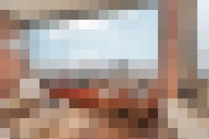 De Eendracht 37 Delft thumbnail 19