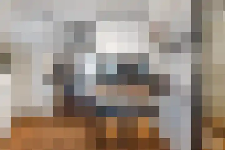 De Eendracht 37 Delft thumbnail 25