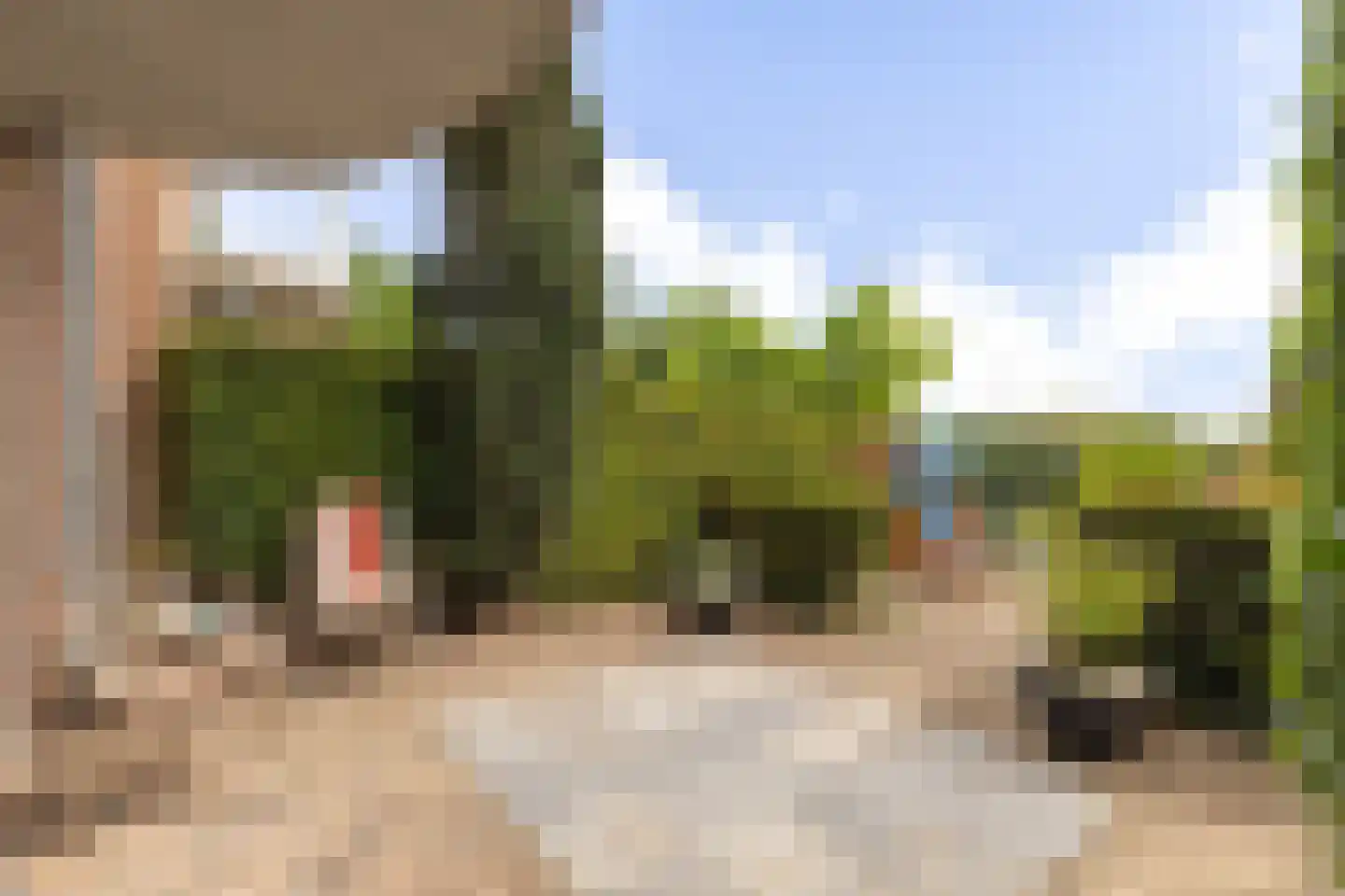 De Eendracht 4 De Rijp thumbnail 50