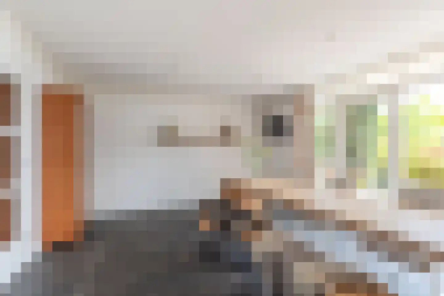 De Eendracht 4 De Rijp thumbnail 7