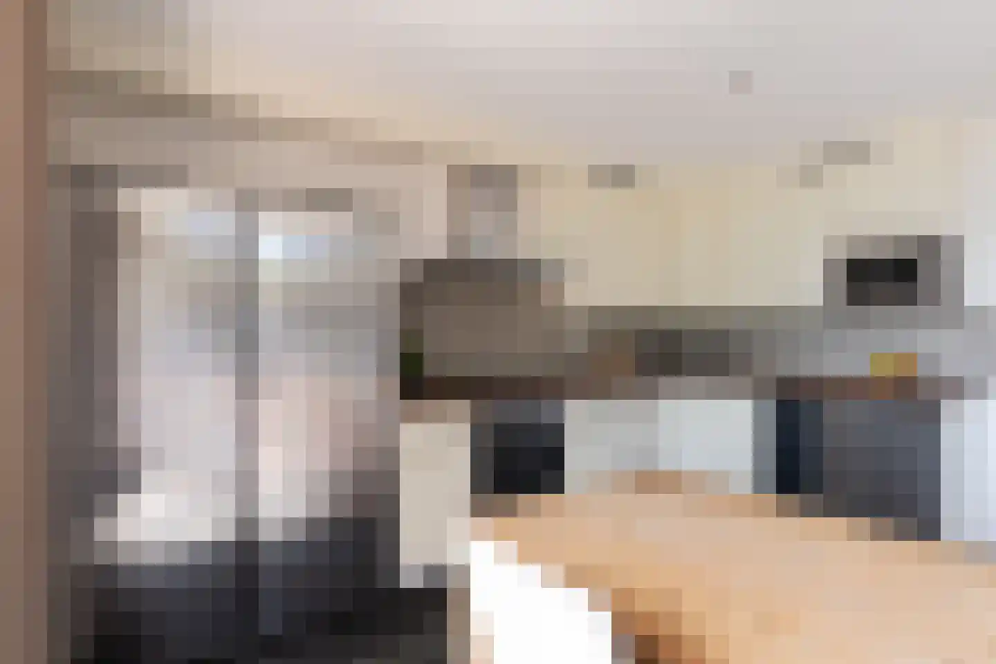 De Eendracht 4 De Rijp thumbnail 8