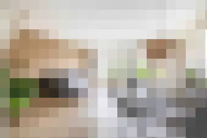 De Eendracht 45 Krimpen aan de Lek thumbnail 12
