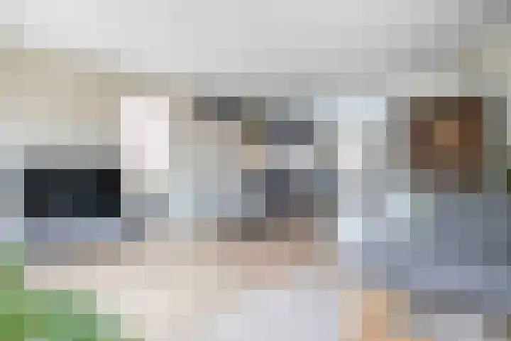 De Eendracht 45 Krimpen aan de Lek thumbnail 14