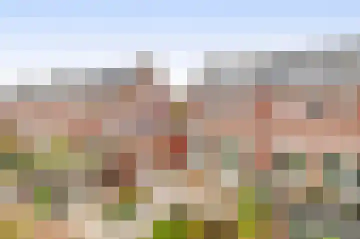 De Eendracht 45 Krimpen aan de Lek foto 2