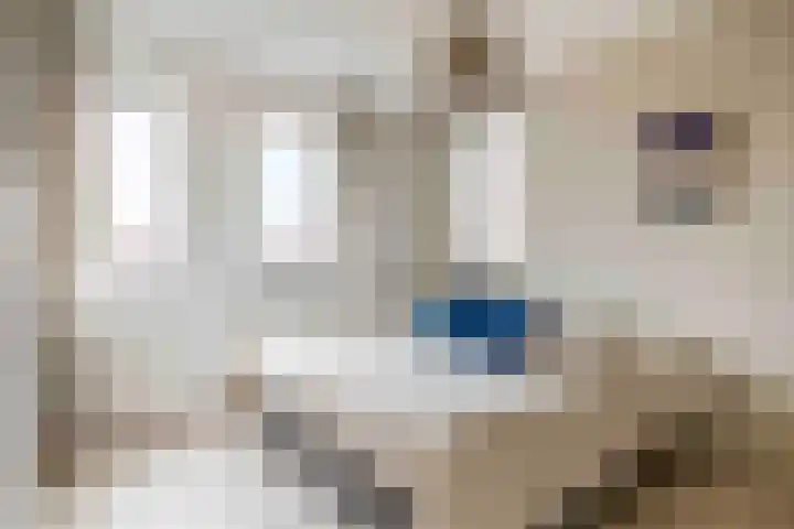 De Eendracht 45 Krimpen aan de Lek thumbnail 21