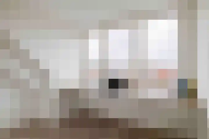 De Eendracht 45 Krimpen aan de Lek thumbnail 35