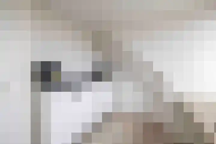 De Eendracht 45 Krimpen aan de Lek thumbnail 36
