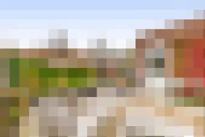 De Eendracht 45 Krimpen aan de Lek thumbnail 37