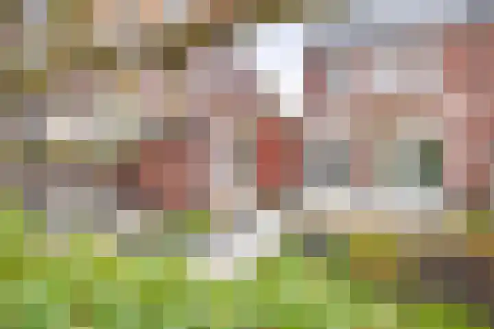De Eendracht 45 Krimpen aan de Lek thumbnail 39