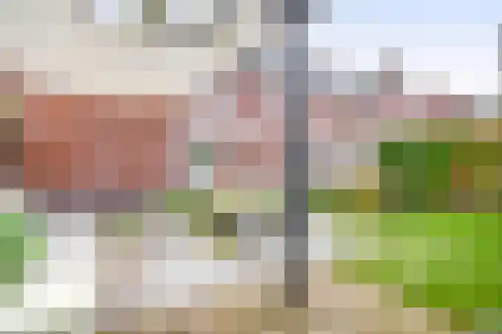 De Eendracht 45 Krimpen aan de Lek thumbnail 40
