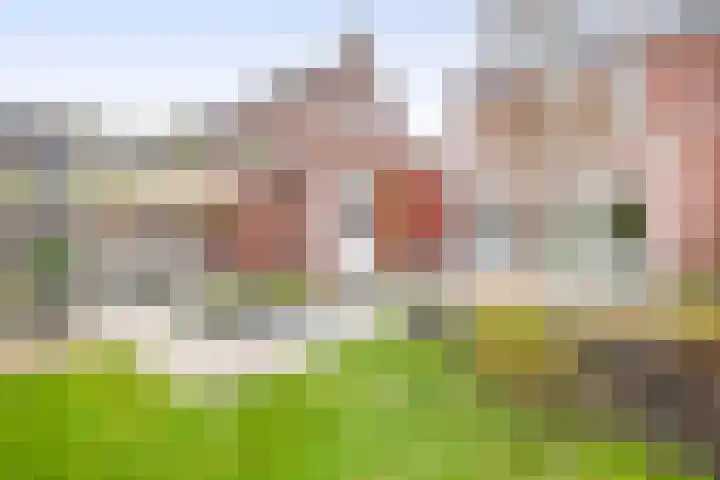 De Eendracht 45 Krimpen aan de Lek thumbnail 43