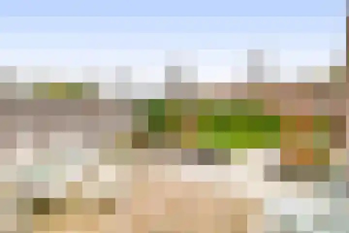 De Eendracht 45 Krimpen aan de Lek thumbnail 5