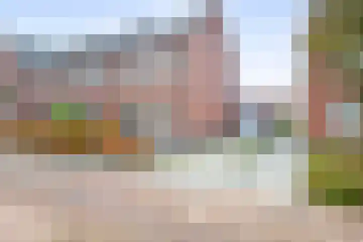 De Eendracht 45 Krimpen aan de Lek thumbnail 6