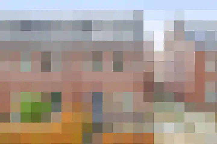 De Eendracht 45 Krimpen aan de Lek thumbnail 8