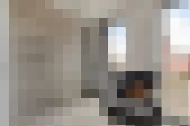 De Eendracht 61 Krimpen aan de Lek thumbnail 18