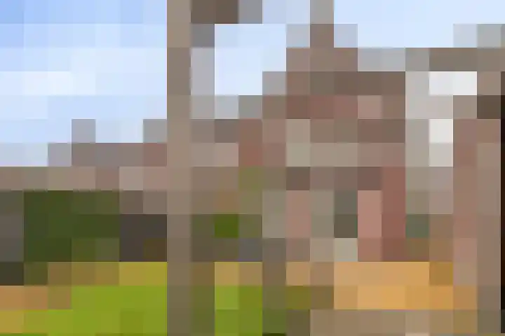 De Eendracht 61 Krimpen aan de Lek thumbnail 25