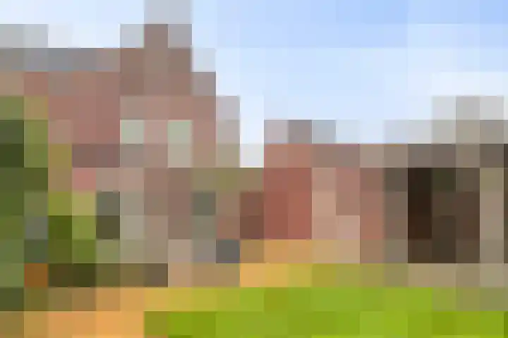 De Eendracht 61 Krimpen aan de Lek thumbnail 26