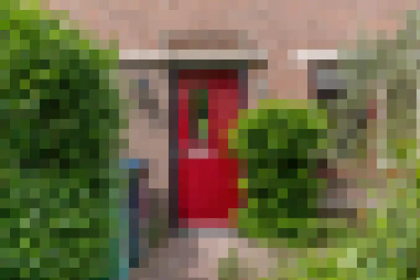 De Eendracht 68 Amstelveen thumbnail 34