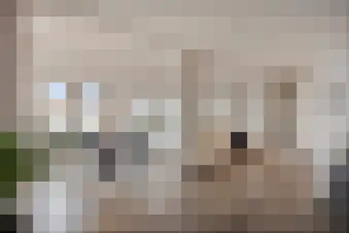 De Eendracht 69 Delft thumbnail 10