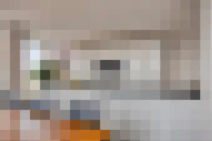 De Eendracht 69 Delft thumbnail 15
