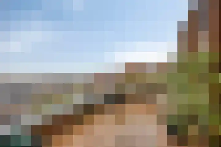De Eendracht 69 Delft thumbnail 28