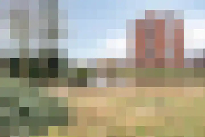 De Eendracht 69 Delft thumbnail 40